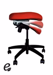 Activator® Back & Office trainer