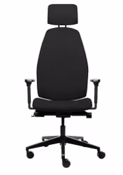 Ergositter Myback (ersätter Ergositter X2 Backhang)