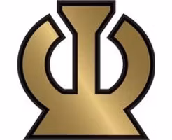 50 random UNCOMMONS MTG