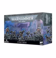 Grey Knights: Strike Squad 57-08