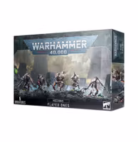 Necrons Flayed Ones 49-42