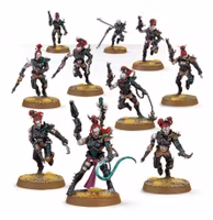 Drukhari Wyches 45-08