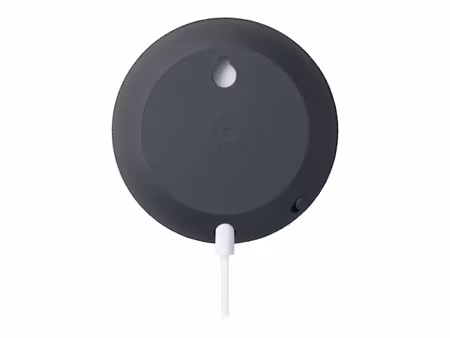 Google Nest Mini Gen 2 Smart Högtalare Brunsvart