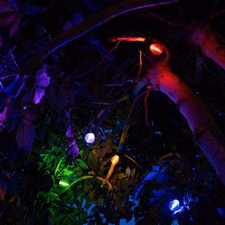 Party ljusslinga utomhus – platt kabel med färgade, utbytbara LED-lampor (5–100 m)