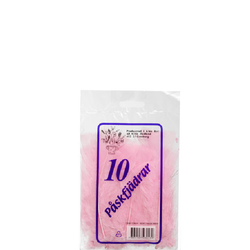 Påskvippor Rosa