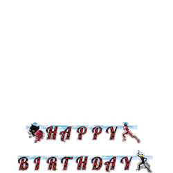 Girlang Miraculous Ladybug Happy Birthday
