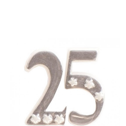 Födelsedagsljus Sifferljus 25 Silver / Vit