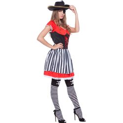 Snygg Piratdräkt dam
