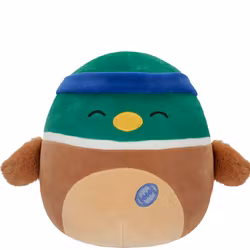 Squishmallows Avery the Mallard w Sweatband & Rugby Ball 19 cm
