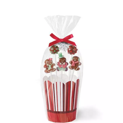 Wilton Cake Pops Presentkit Jul Bouquet Kit, 2 st askar