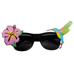 Kolibri Glasögon