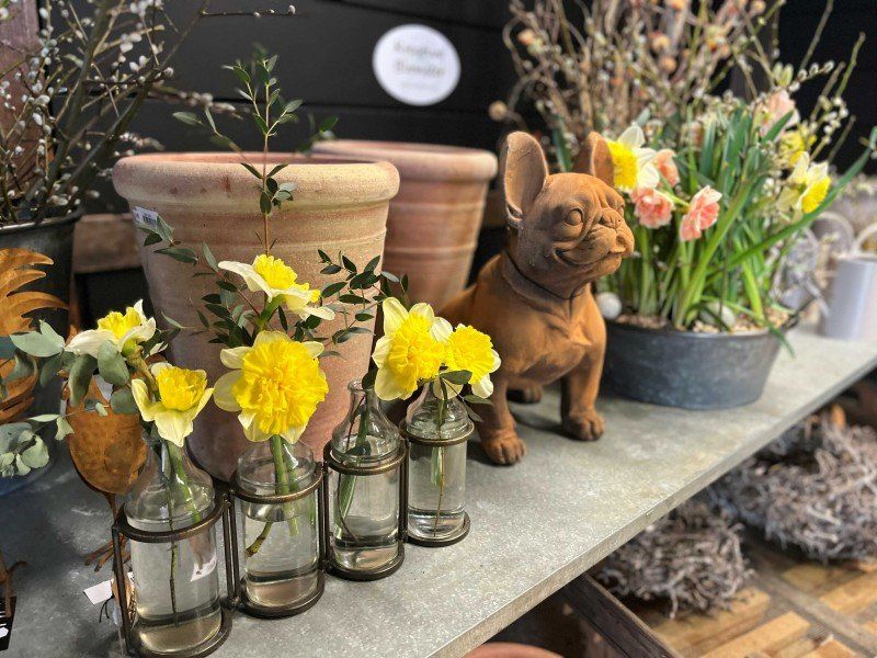 Spring is at the door