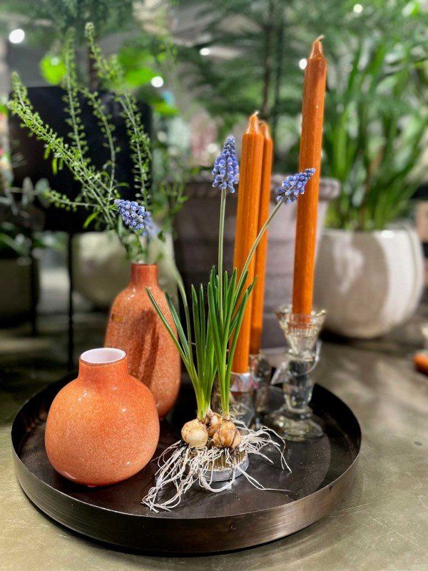 Create installations in the home