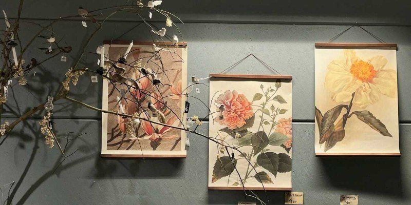 Lots of news in the shop from Sköna Ting