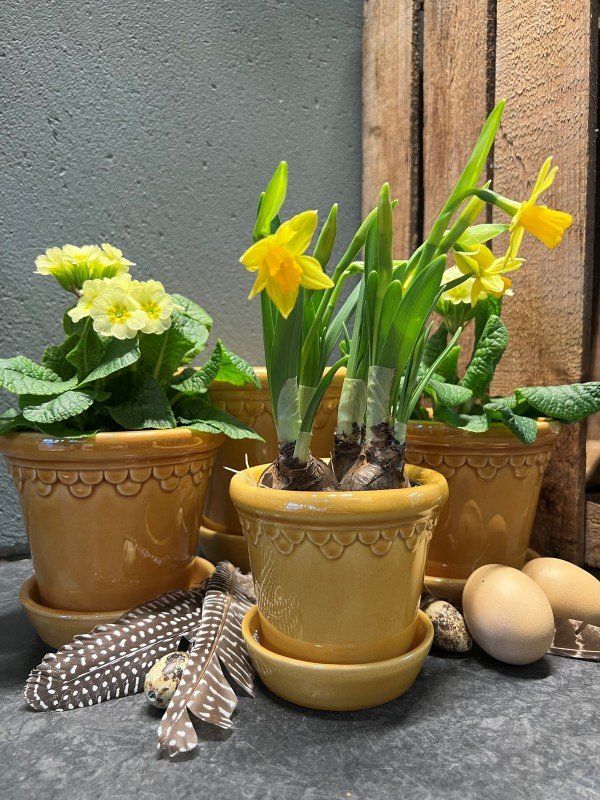 Decorating tips for Easter