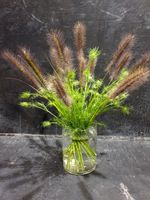 HANATABA - Muddy brown
