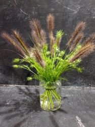 HANATABA - Muddy brown