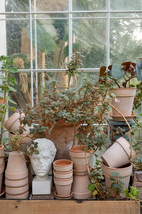 Bergs Potter - Simona - Raw Rosa