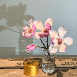 HANATABA - Original Guld