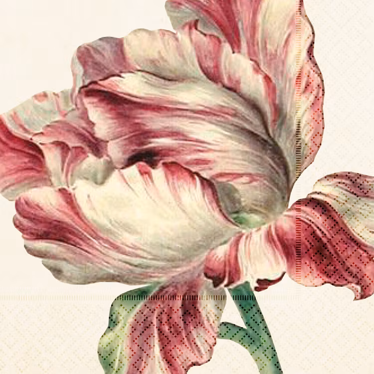 Sköna Ting - Servetter - Tulpan