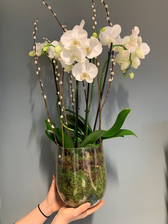 Florist designs - White orchid