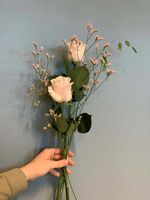 Enkel rosa ros