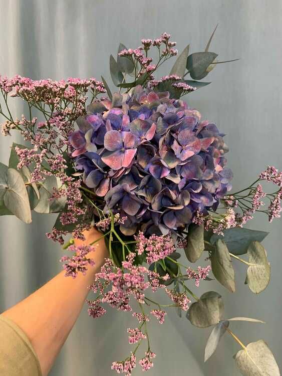 Härlig Hortensia bukett - Blå/lila