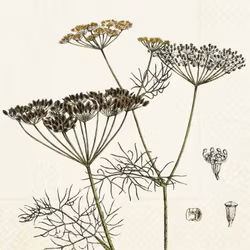 Sköna Ting - Servett - Dill