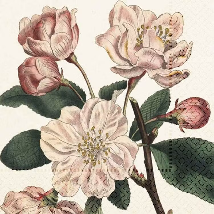 Sköna Ting - Servett - Äppelblom