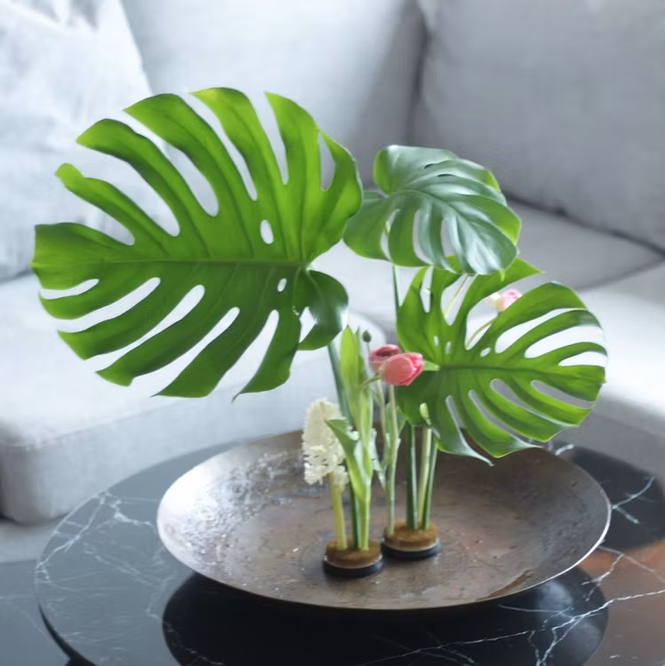 Hanataba - Kenzan - 34mm