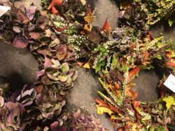 Door wreath - Autumn - Florist's choice
