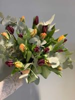 Lyxtulpaner - Lila/Svart/Orange