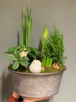 Vintergrupp