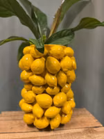 Birch Nielsen - Citron