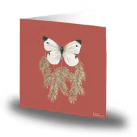 Cards by Jojo - Winter Butterfly - Litet kort