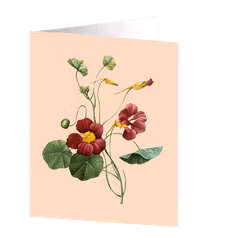 Cards by Jojo - Indian Cress - Medium kort