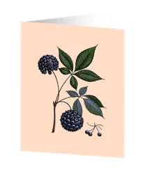 Cards by Jojo - Siberian Ginseng - Medium kort