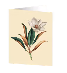 Cards by Jojo - Magnolia - Medium kort