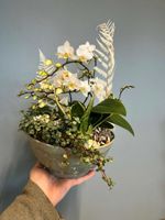 Floristen designar - Inomhus