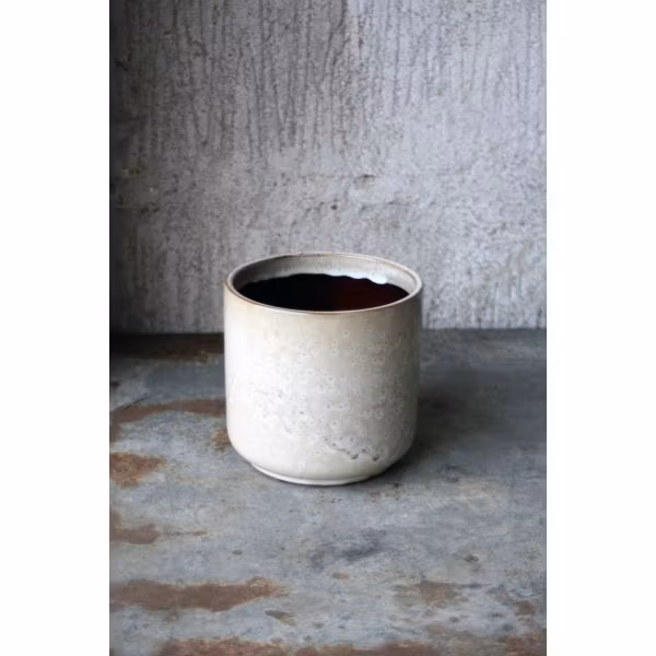 Västanvinden - Eddy