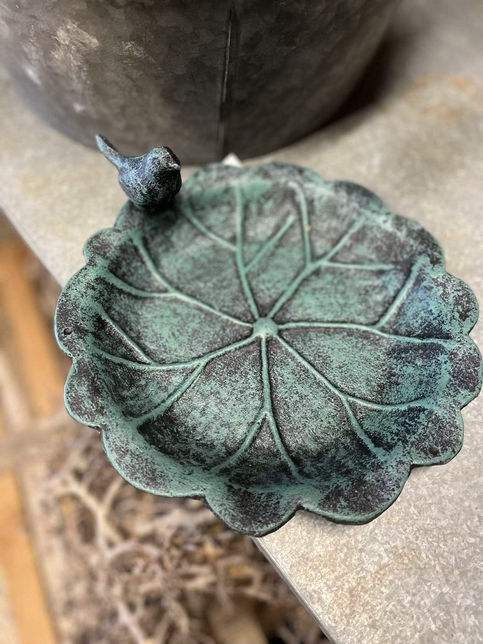 Västanvinden - Fågelbad