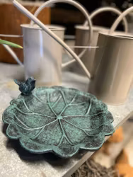 Västanvinden - Fågelbad