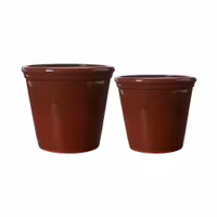 Wikholm Form - Carly