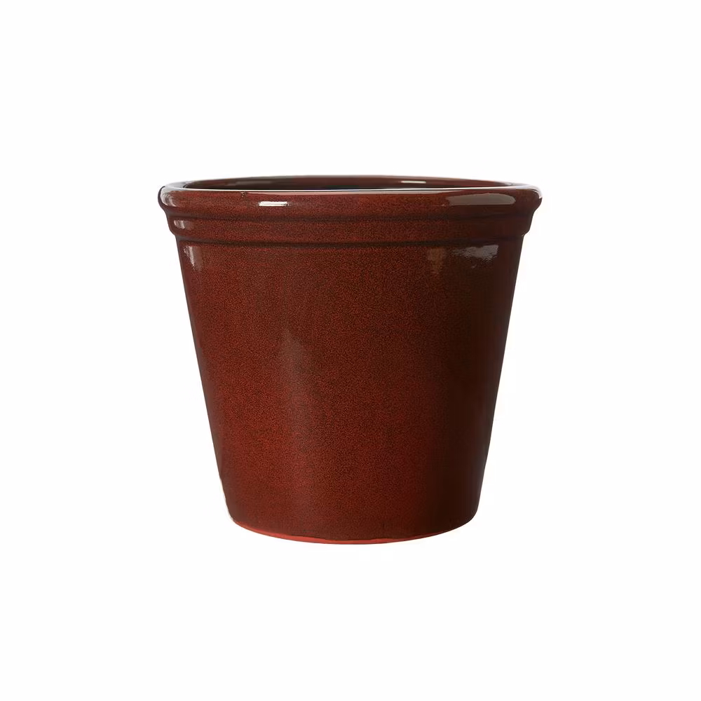 Wikholm Form - Carly