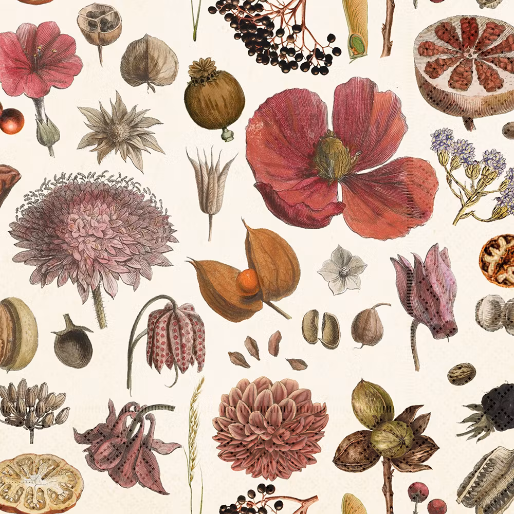 Sköna Ting - Servetter - Frökapslar