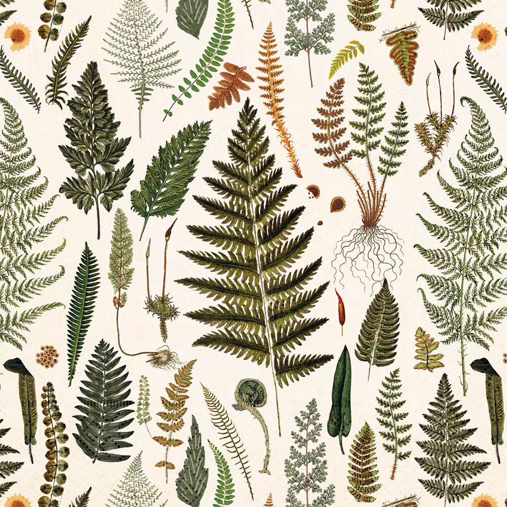 Sköna Ting - Servetter - Ormbunkar