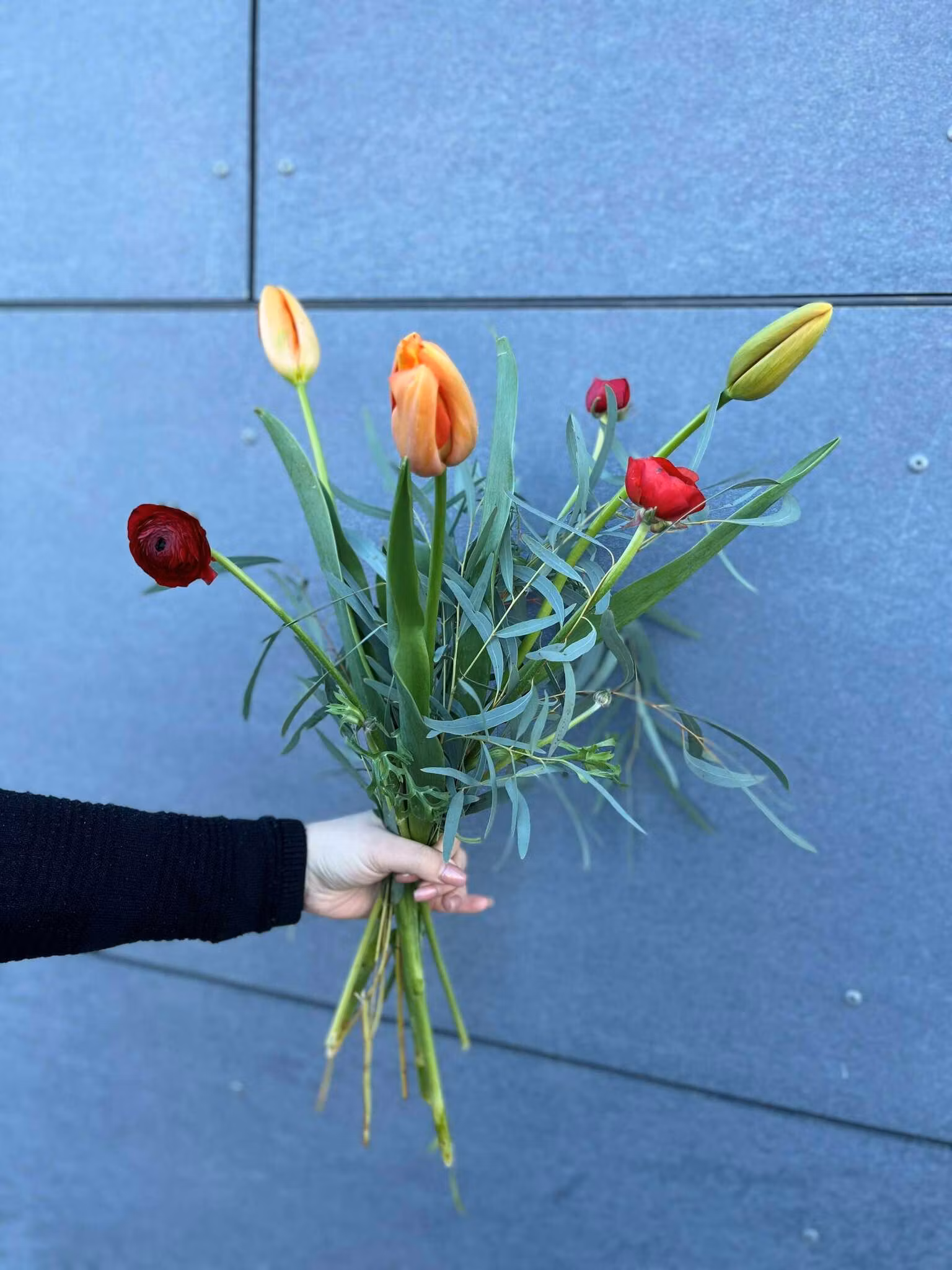 Vårbukett - Franska tulpaner