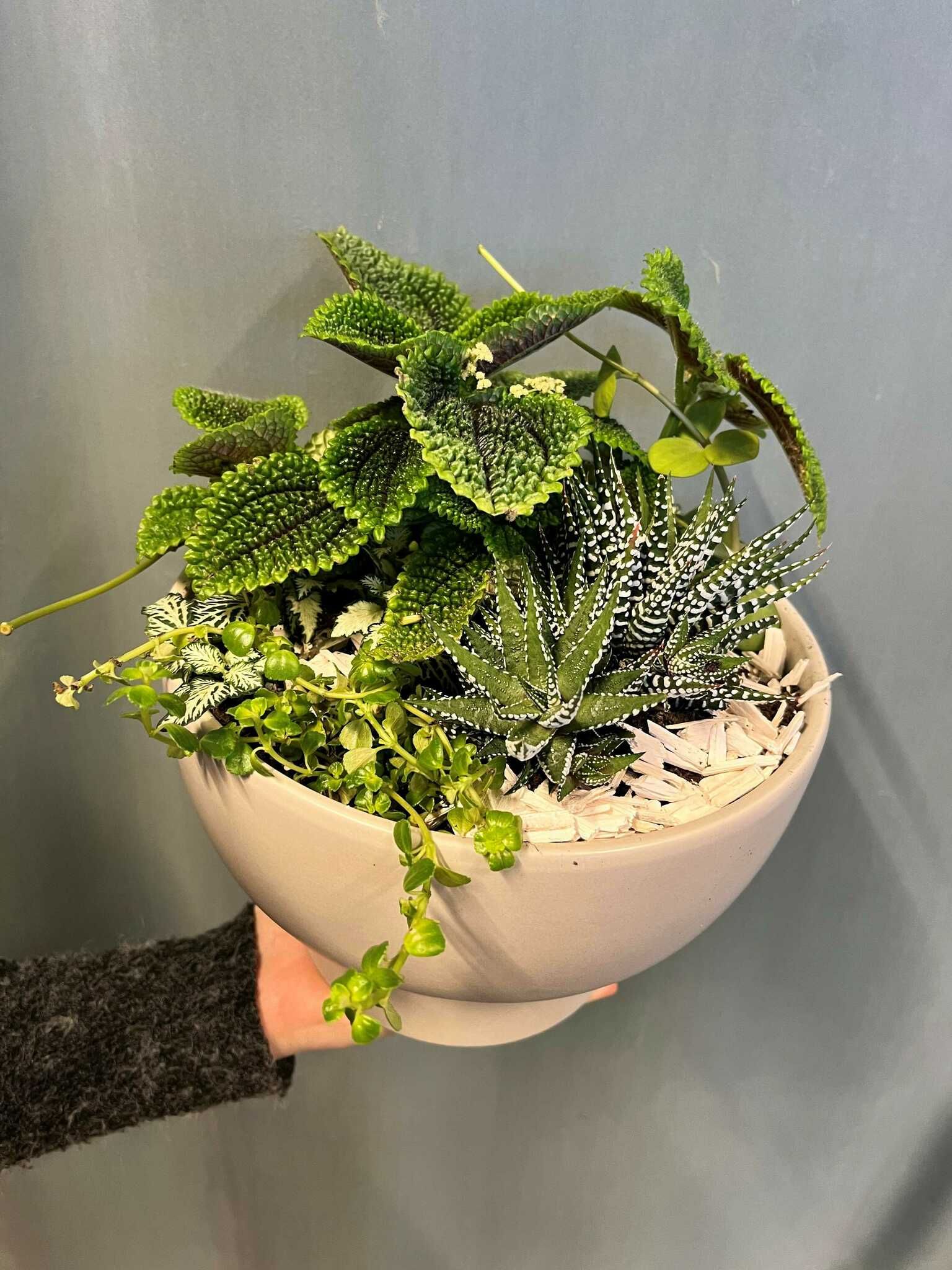 The florist designs - Green plants