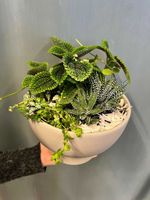 Floristen designar - Gröna växter