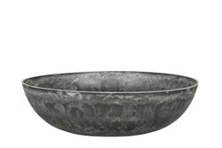 Delicata - Grå